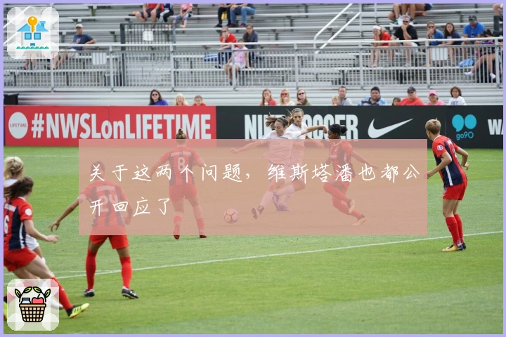 关于这两个问题，维斯塔潘也都公开回应了